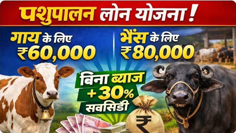 Pashu Palan Loan Yojana 2026